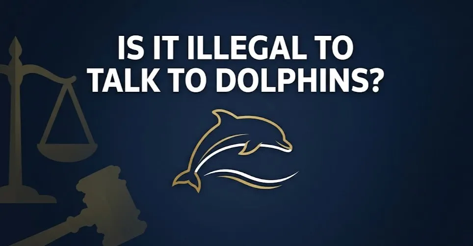 Is it illegal to talk to dolphins — US law guide banner with dolphin silhouette and scales of justice on navy background
