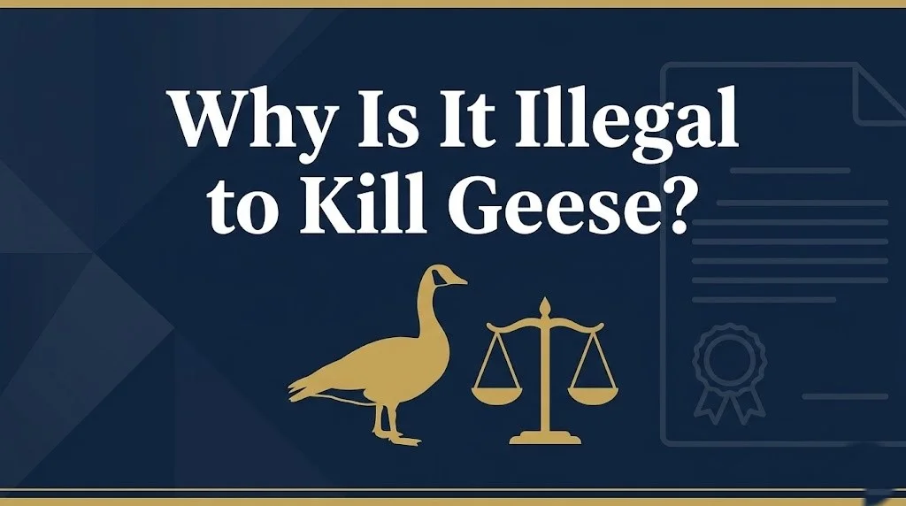 Killing a Canada goose
