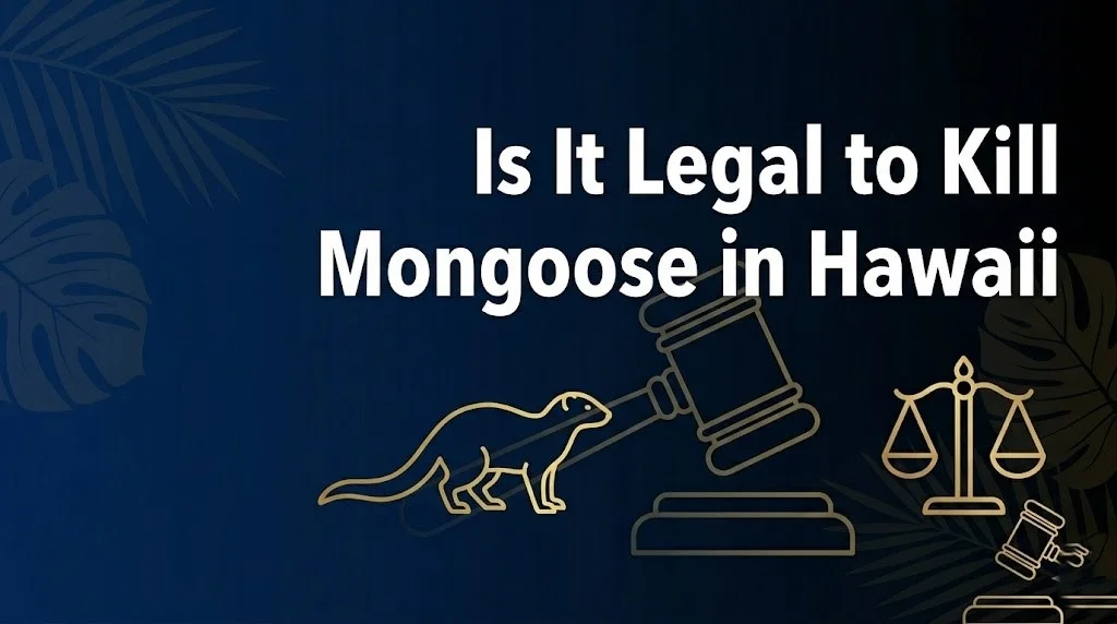 Killing mongoose in Hawaii