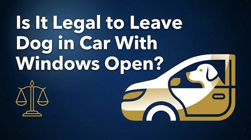 Leaving your dog in a car with windows open