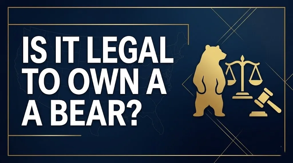 Is It Legal to Own a Bear? State Laws Exposed (2026)