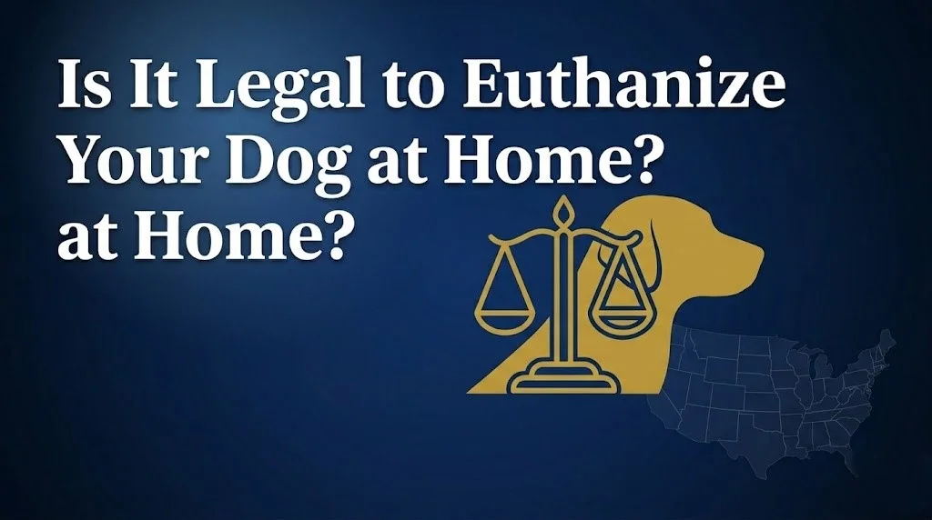euthanize your dog at home