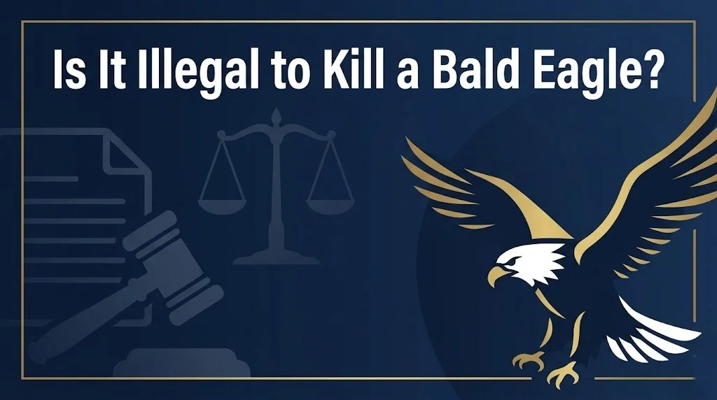 killing a bald eagle