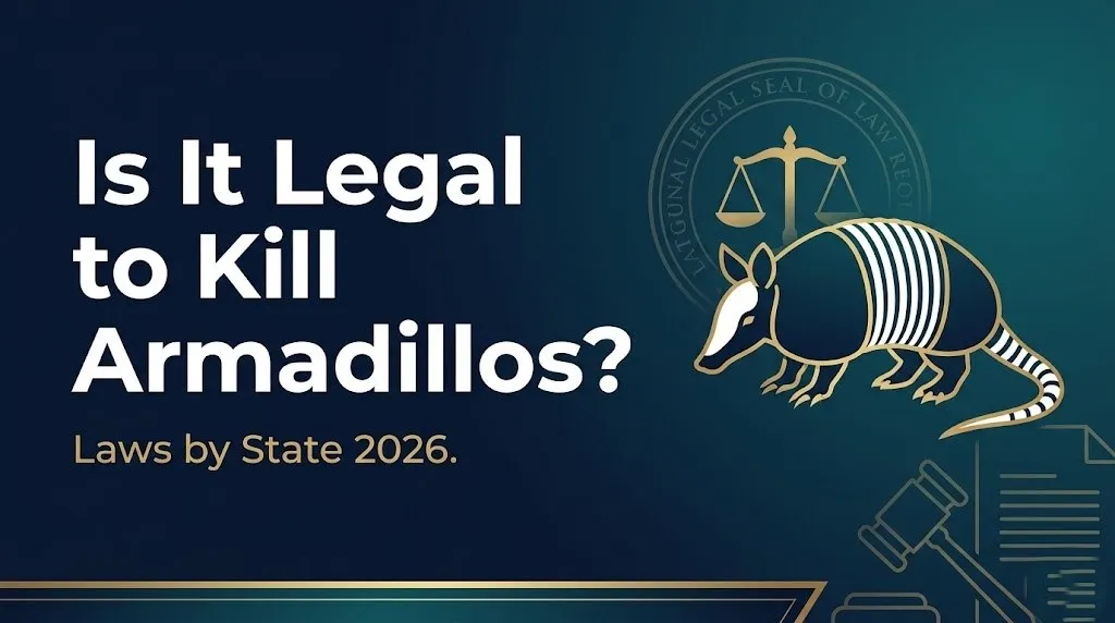 killing armadillos