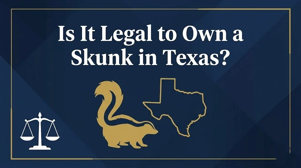 own a skunk