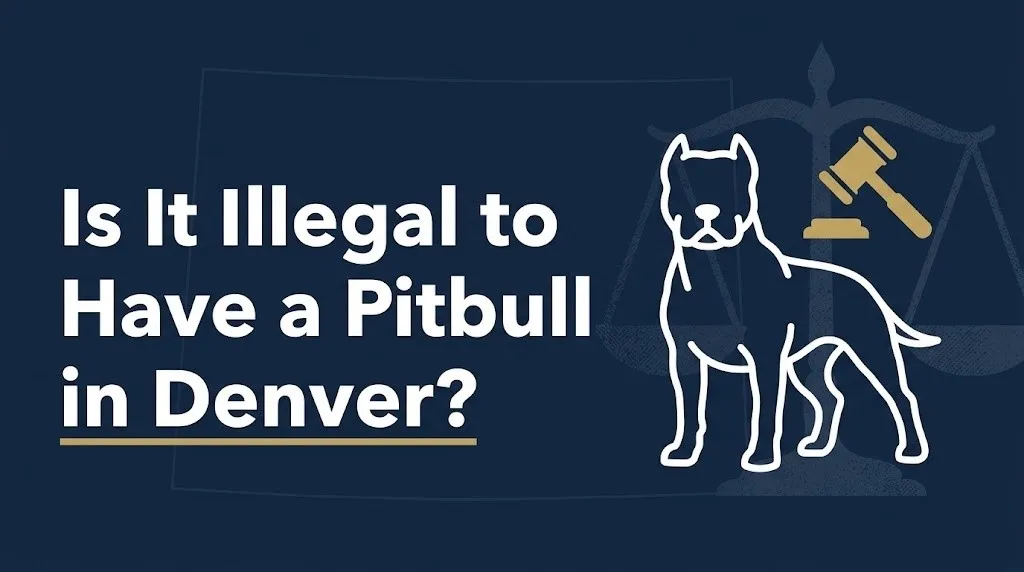 Having a pit bull