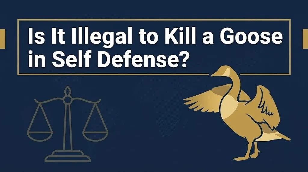 Killing a Canada goose