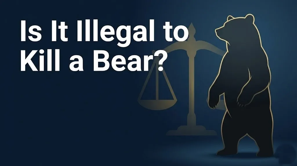 Killing a bear