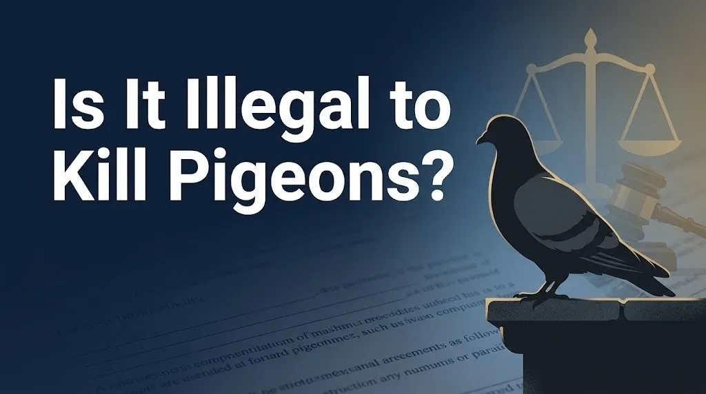 Killing pigeons