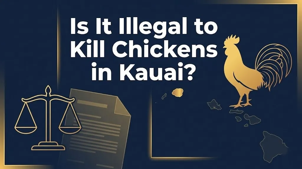 Killing the wild chickens