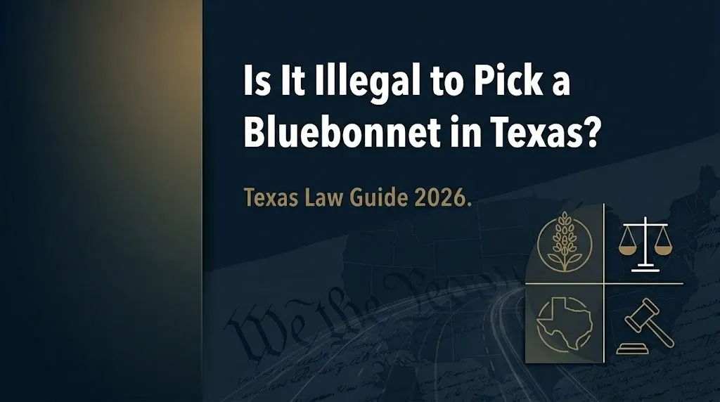 Picking a bluebonnet in Texas