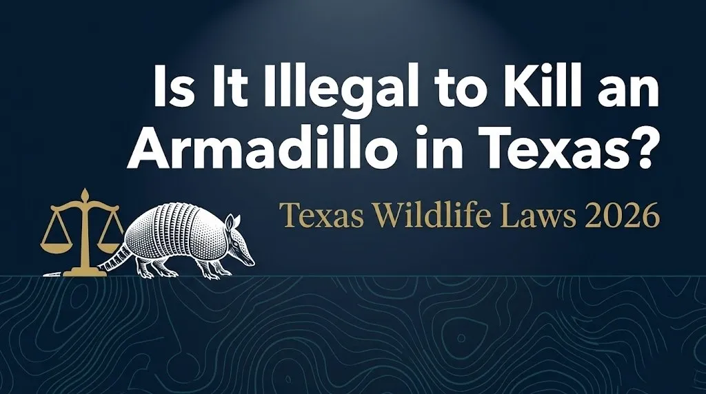 kill an armadillo in Texas